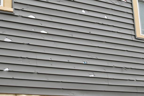 Best Siding Painting and Refinishing  in Emerson, NJ