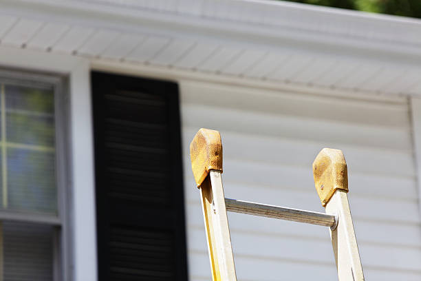 Best Siding Replacement  in Emerson, NJ